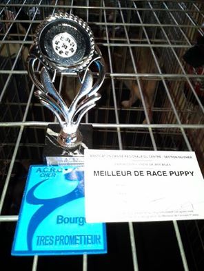 Of Iron Duck - Exposition Internationale de Bourges 2016