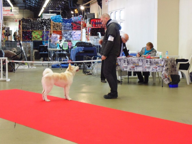 Of Iron Duck - Paris Dog Show 2016